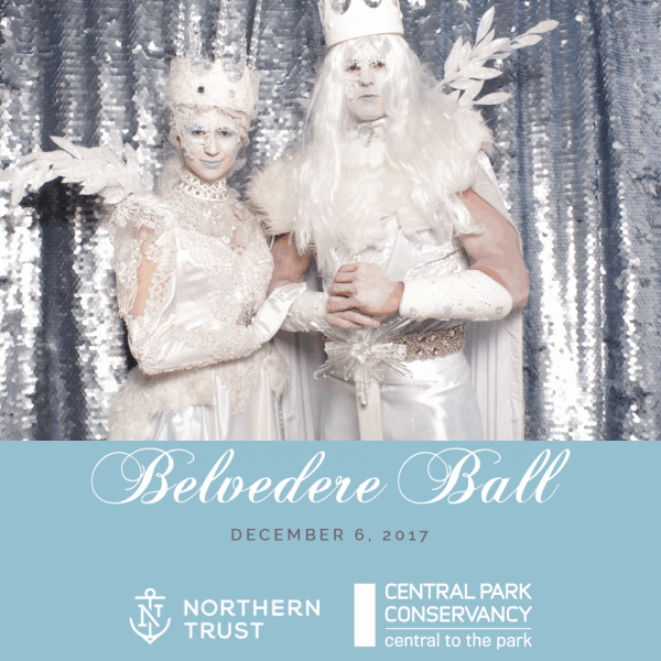 Belvedere Ball