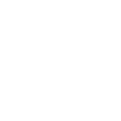 Vinyl Wrap Icon