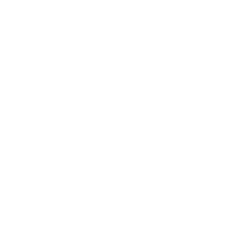Music Icon
