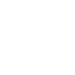 Data Capture Icon