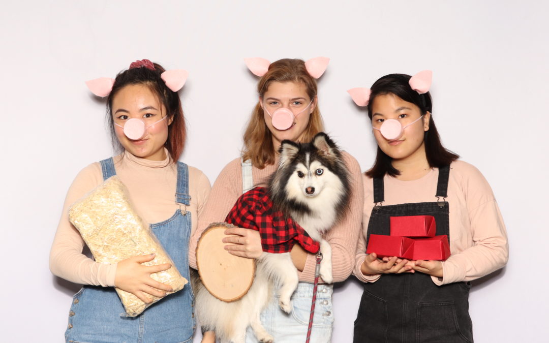 Squarespace Halloween